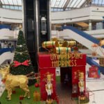 करसमसचजदईअनभवघय